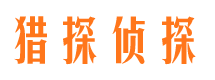 巴青市侦探公司